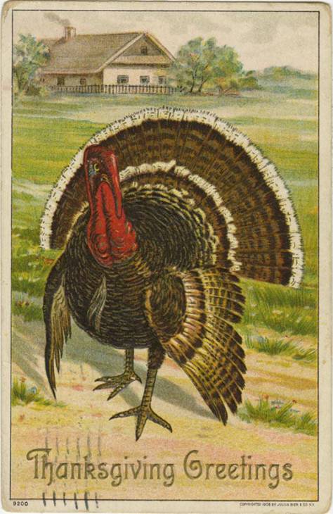 Thanksgiving_Greetings,_a_very_large_turkey_(NBY_18222)